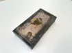 Picture of Wooden Box - Pirate Treasure Chest