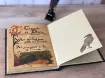 Picture of Blank Spellbook - Lore Keeper